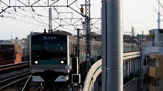 2019/03/18 千代田線 北綾瀬支線 E233系 マト8編成 北綾瀬駅 | Tokyo Metro Chiyoda Line: E233 Series MaTo 8 Set