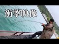 【衝撃】フェリー乗り場の隣で大魚に引きずり込まれ...