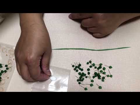 フェリシモ樹脂粘土で作るフェイク多肉植物プログラムLesson4 step2