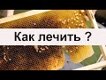 Пасека #45 Гнилец или нет, но лечить надо - болезнь пчел Пасека Пчеловодство.