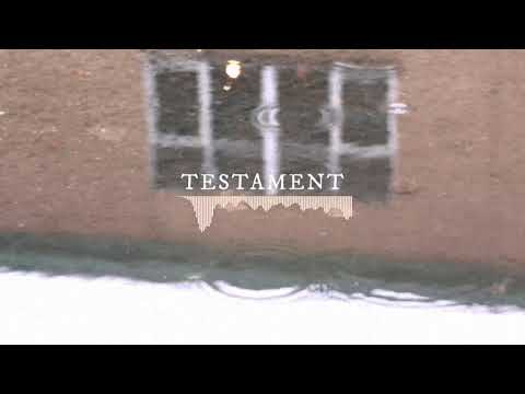 Alera — Alera - Testament