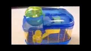 ~~NEW HAMSTER CAGE~~ Ware Heath Club Spin City Cage