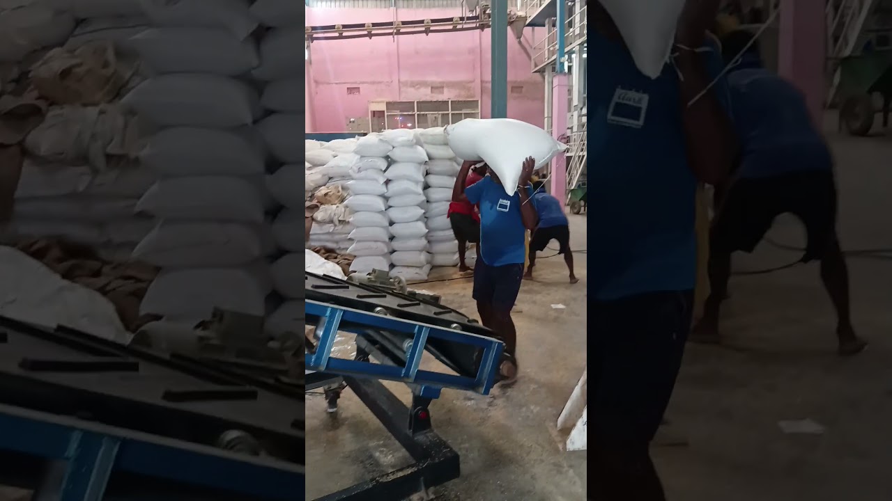 rice mill bags chain shifting