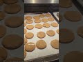 Ginger Molasses Cookies. #hihoneycupcakesandco #gingermolassescookies #cookies
