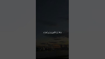 #سورة_الحجر #هزاع_البلوشي #قران_كريم #راحة_نفسية #صوت_جميل #آيات #قرآن #اذكار
