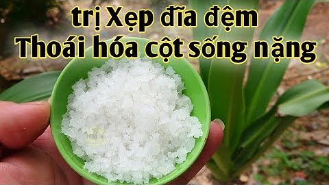 Bài thuốc trị Đau nhức cột sống, xẹp đĩa đệm, phòng đĩa đệm, thoái hóa cột sống... PHAN HẢI Channel