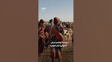 اليونيسف 640 ألف طفل معرضون للمجاعة والأمراض والعنف في دارفور بالسودان 