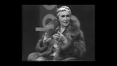 Louise Nevelson  New York is My Mirror | TateShots