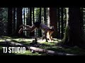 ART OF BALANCE - Handstand Motivation