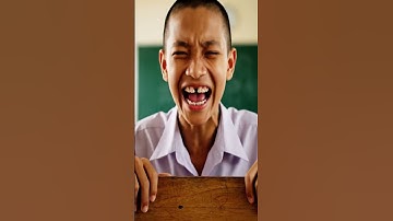 Bảo đổ keo lên ghế hại Capy và cái kết #capybara