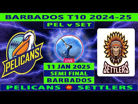 Pelicans vs Settlers