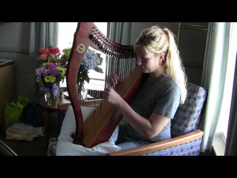 Harpist at Hospice