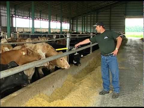 La traçabilité des animaux d'élevage et des aliments au Québec - MAPAQ