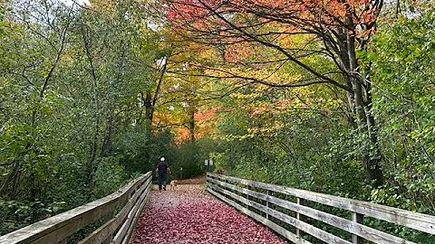 Springbrook Trail, Antigo, WI