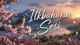 İlkbaharın Sesi screenshot 5