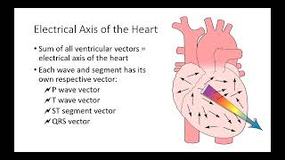 7 6102 Basic EKG Interpretation