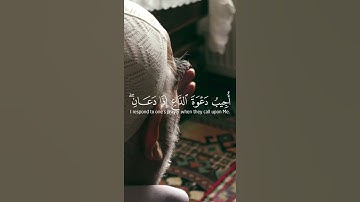 وإذا سألك عبادي عني فإني قريب | مشاري العفاسي سورة البقرة