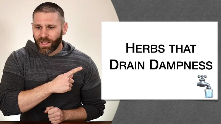🌿 Herbology 1 Review - Herbs that Drain Dampness (Extended Live Lecture) - DayDayNews