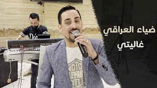 ضياء العراقي - انتي الشيخة (غاليتي) Live