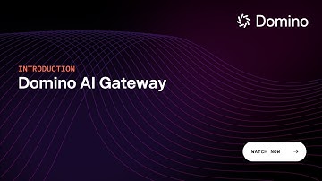 Introduction to  Domino AI Gateway