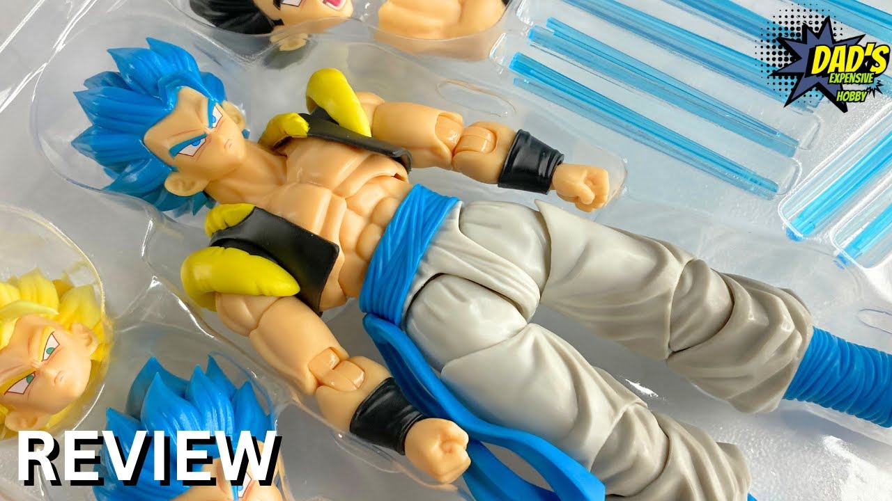 Demoniacal Fit HERO WALTZ — The Supreme Dance GOGETA REVIEW