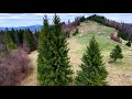 Flying Over a Spring Mountain Meadow at Rarău, Romania | FPV Drone Flight near Șaua Ciobanului
