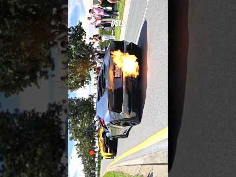 ผลสลากกินแบ่งรัฐบาล วันที่ 1 พย. 2567