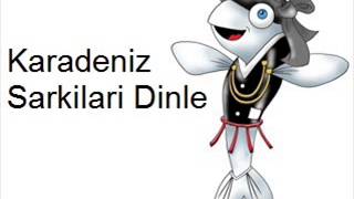 Abdurrahman Yazıcı   Elma Dalı