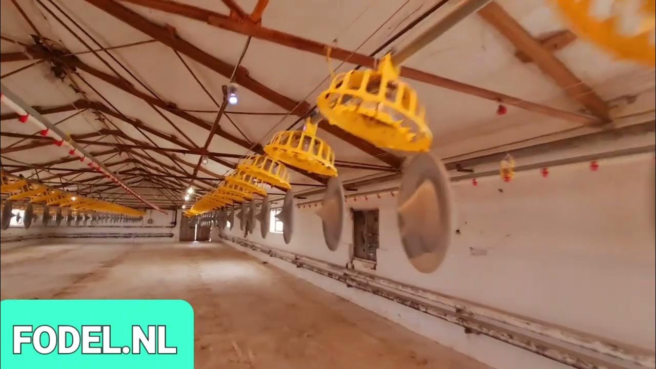 Fully equipped chicken farm for sale 0036702255255 Infofodel.nl
