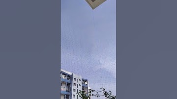 Balcony Bird safety Net cover 7207230152 #pune #building #safetynet #pigeon #reels#punekar