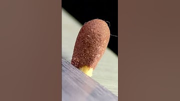 Scissors vs Matchstick #macro #matchstick #scissors #asmr #ultramacroviews