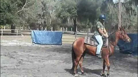 annie sales video 0001