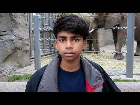 Original Video Of Me At The Zoo.