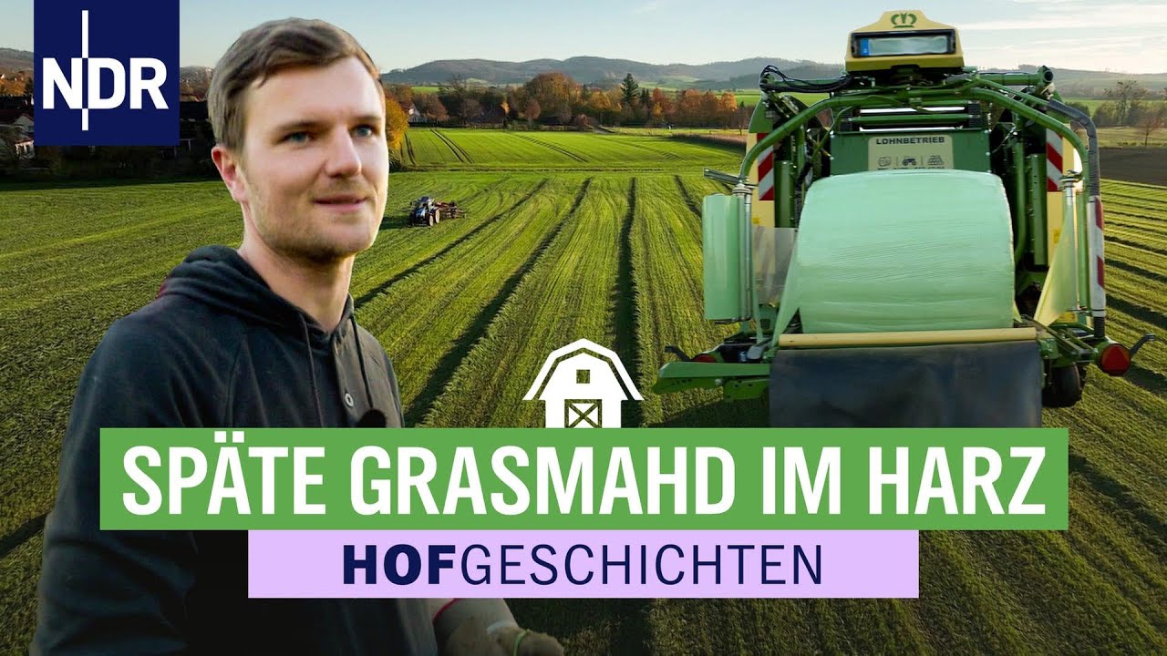 Steffen Thudt haut nochmal eben 20 Rundballen raus | Hofgeschichten (355) | 14.11.2025 | NDR