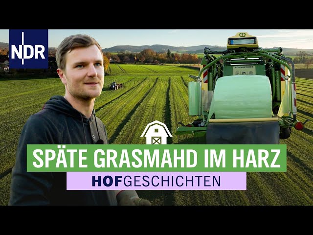 Steffen Thudt haut nochmal eben 20 Rundballen raus | Hofgeschichten (355) | 14.11.2025 | NDR