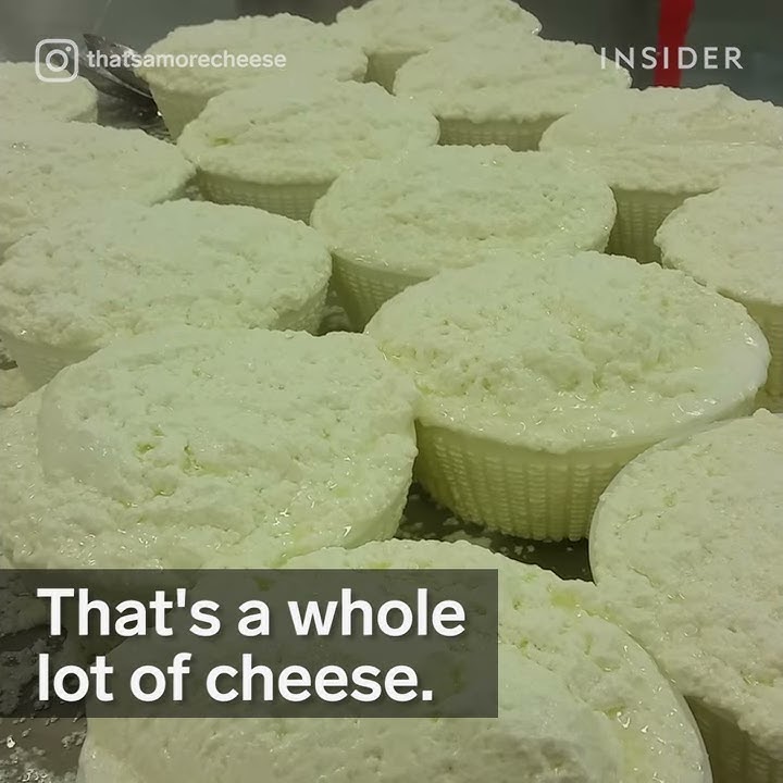 Holy cheezus