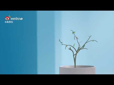 【The 9】刘雨昕 花果轻乳广告🍓欢迎大家关注频道和点赞视频 随时更新The 9消息❤️影片来自微博