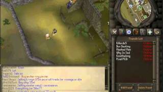 Runepwn The Best Runescape Private Server