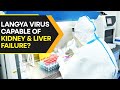 What is Langya Henipavirus that has infected 35 people in China  WION Originals