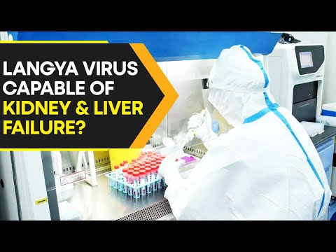 What is Langya Henipavirus that has infected 35 people in China? | WION Originals