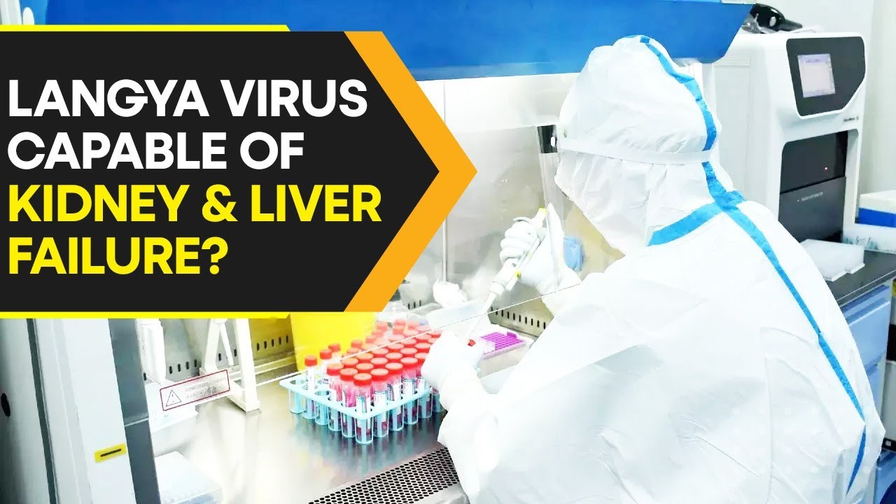 What Is Langya Henipavirus That Has Infected 35 People In China WION 