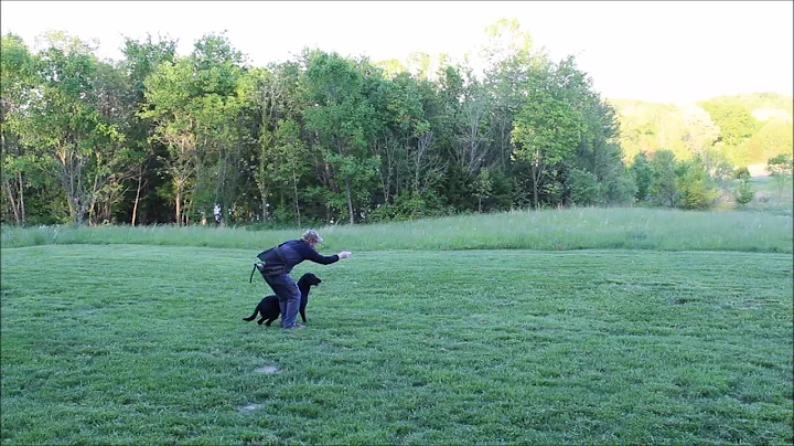 FTW Diesel Memory + Mark