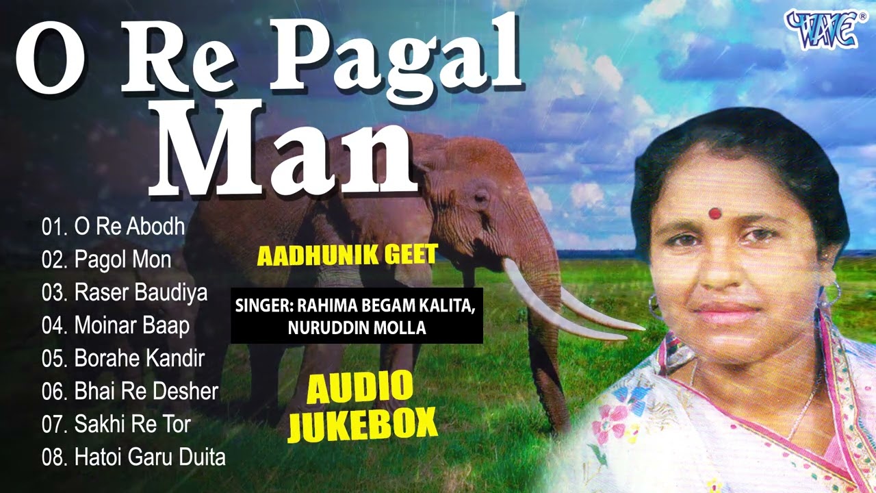 O Re Pagal Man All Songs Jukebox  Rahima Begam Kalita Nuruddin Molla Gowalpariya Bhawaiya Hit Song
