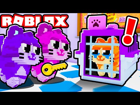 We Rescued Cats! | Roblox: Play Cats Morphs: Friend Rescue