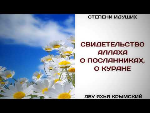 170. Свидетельство Аллаха о посланниках || Абу Яхья Крымский