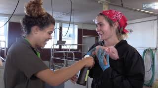Major in pre-veterinary medicine at the University of Delaware