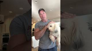 The Truth About Feeding Your Dog a Carnivore Diet