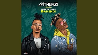 Mthunzi - Baningi feat. Mlindo The Vocalist