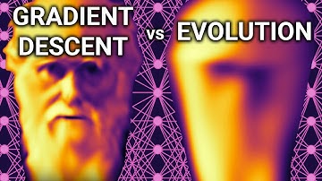 Gradient Descent vs Evolution | How Neural Networks Learn