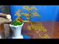 bonsai handmade sadec thác đổ chậu bình